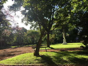 Jardin Botanico