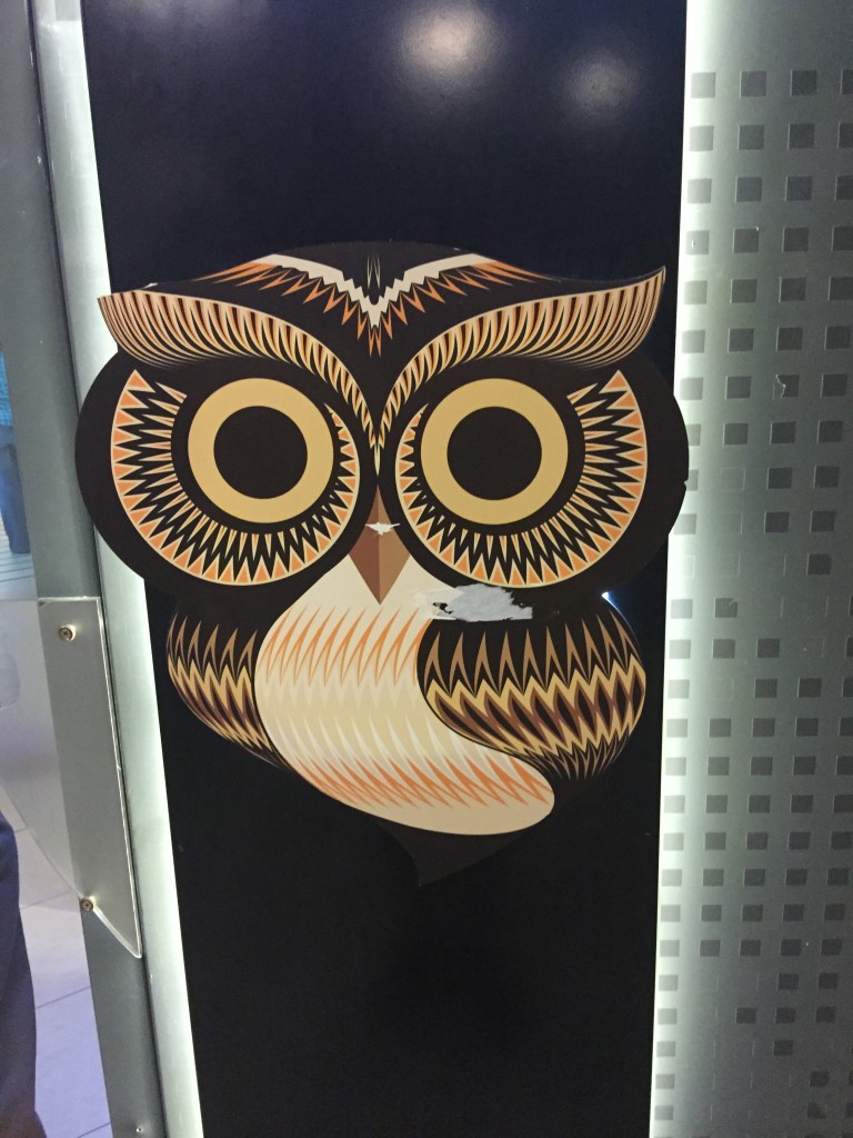I love owls and this guy is hella cool!